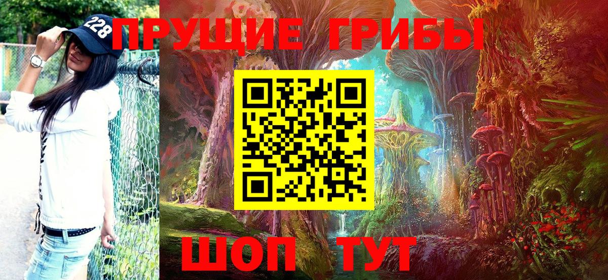 Псилоцибиновые грибы Cubensis Кандалакша